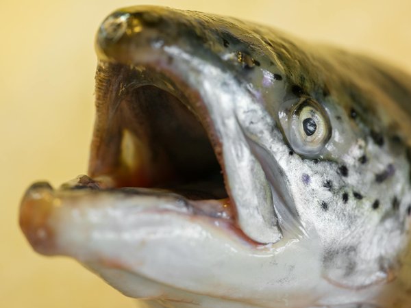 Wat zijn de belangrijkste dingen om te weten over postpartum herstel en hoe kun je je daarop voorbereiden?